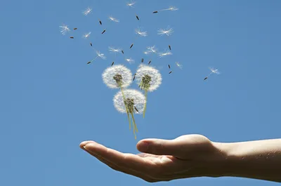 Illustration let - Image 1