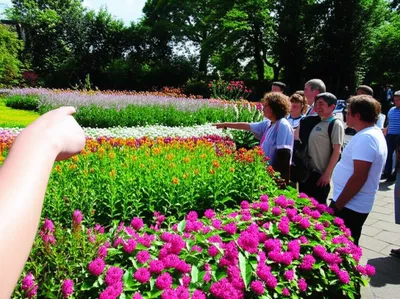 Illustration shew - Image 1