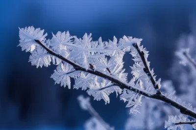 Illustration deposition - Image 1