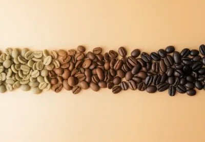 Illustration roast - Image 1