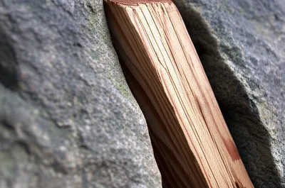 Illustration key - Image 1