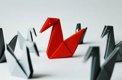 Illustration insulation