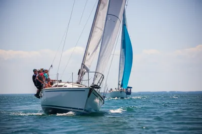 Illustration bump - Image 1