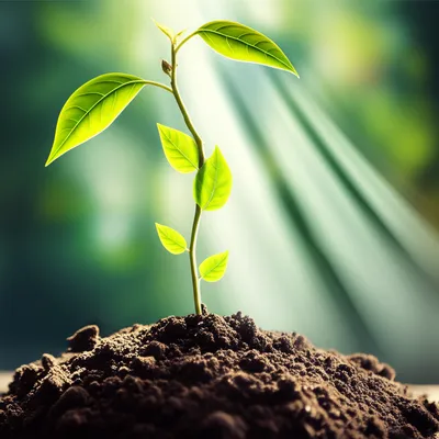 Illustration medicine - Image 1