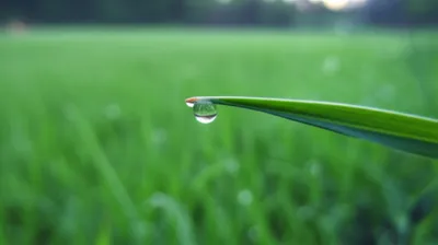 Illustration smallest - Image 1