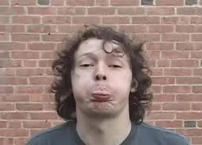 Illustration raspberry - Image 2