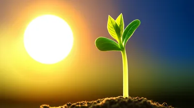 Illustration warmed - Image 1