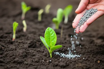 Illustration enriched - Image 1