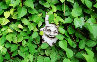 Illustration encroaches