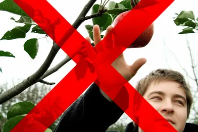 Hình ảnh minh họa cannot - Ảnh 1