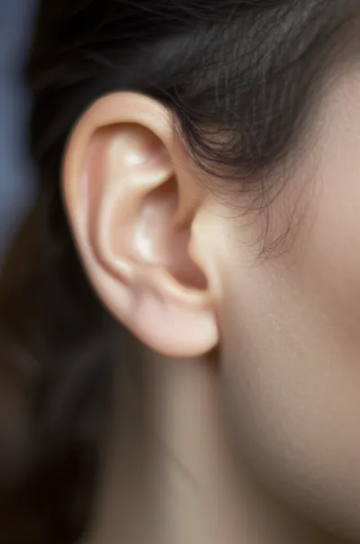 Illustration earlobes - Image 1