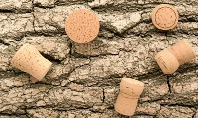 Illustration cork - Image 1