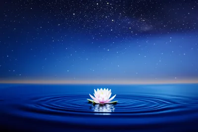 Illustration truth - Image 1