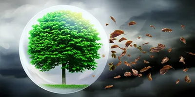 Hình ảnh minh họa prophylactic - Ảnh 1