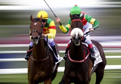 Illustration nosing - Image 1