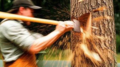 Illustration hacks - Image 1