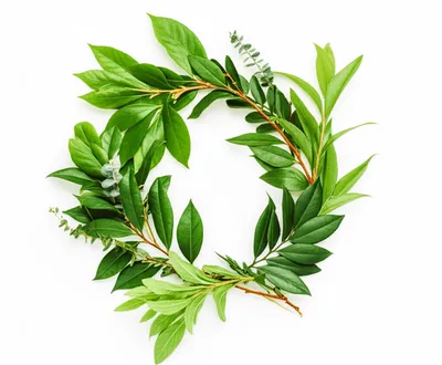 Illustration green - Image 1