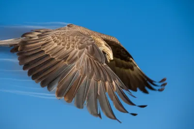 Hình ảnh minh họa van - Ảnh 1