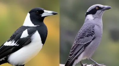 Illustration maggie - Image 1