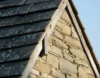 Illustration skews - Image 1