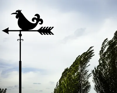 Illustration westerly - Image 1