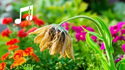 Illustration autistic - Image 1