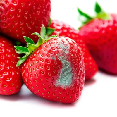 Illustration spoil - Image 1