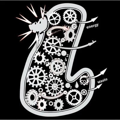 Illustration metabolizes - Image 1