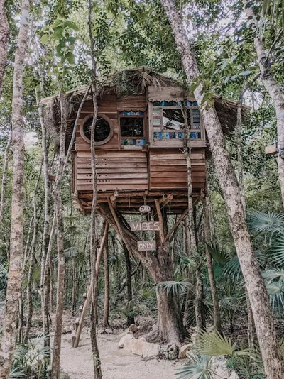Illustration treehouse - Image 2