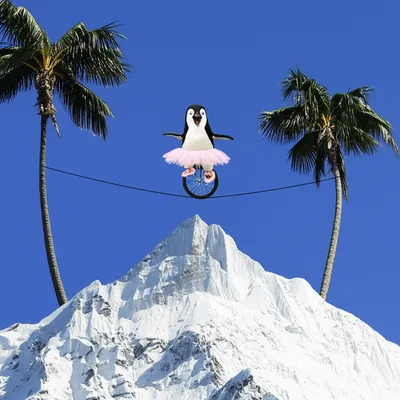 Illustration ludicrous - Image 1