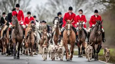 Illustration meet - Image 2