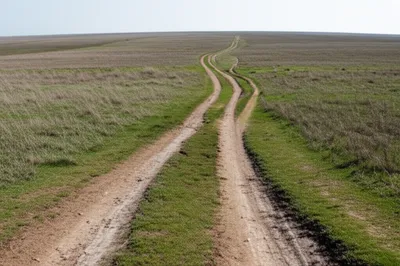 Illustration track - Image 1