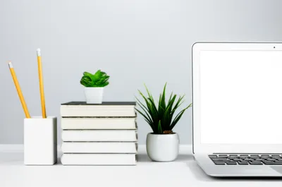 Illustration neatness - Image 1