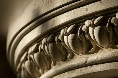 Illustration ovolo - Image 1