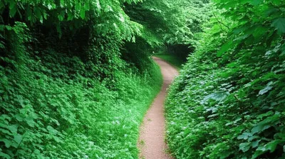 Illustration digression - Image 1