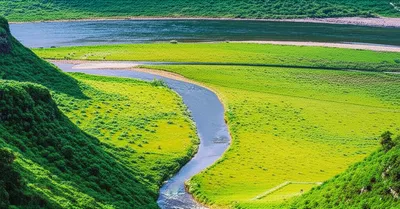 Illustration affluent - Image 1