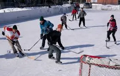 Illustration shinny - Image 2