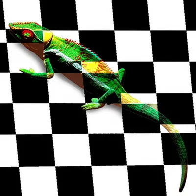 Illustration done - Image 1