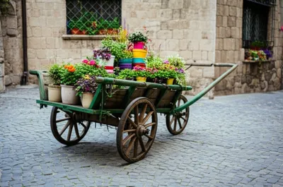 Illustration trundle - Image 1