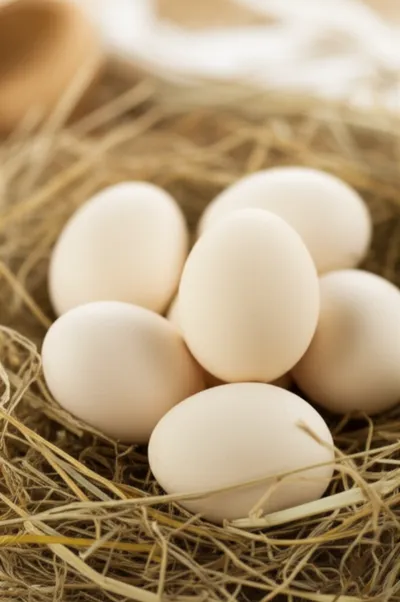 Illustration eggshells - Image 1