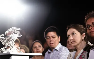 Illustration introducing - Image 1