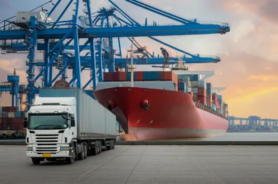 Illustration carriers - Image 1