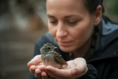 Illustration concerns - Image 1