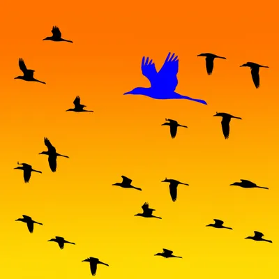 Illustration individual - Image 1