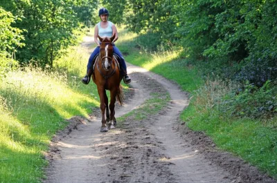 Hình ảnh minh họa bridleway