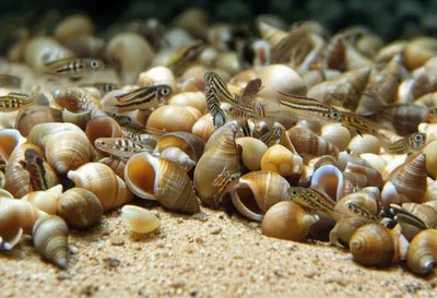 Illustration multi - Image 1