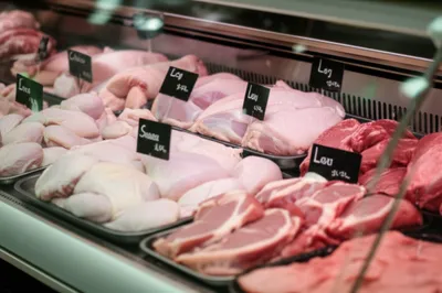 Illustration rabbits - Image 1