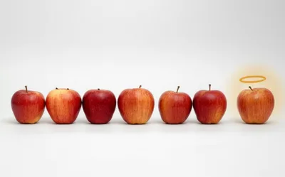 Illustration eighth - Image 1