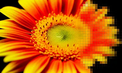 Illustration pixelated