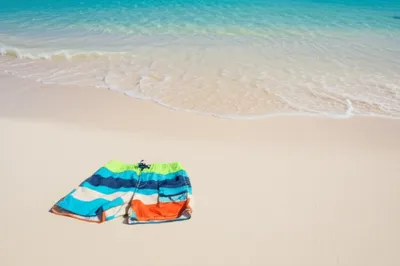 Illustration trunks - Image 1